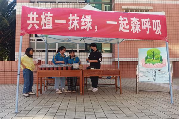 小绿茵2.jpg